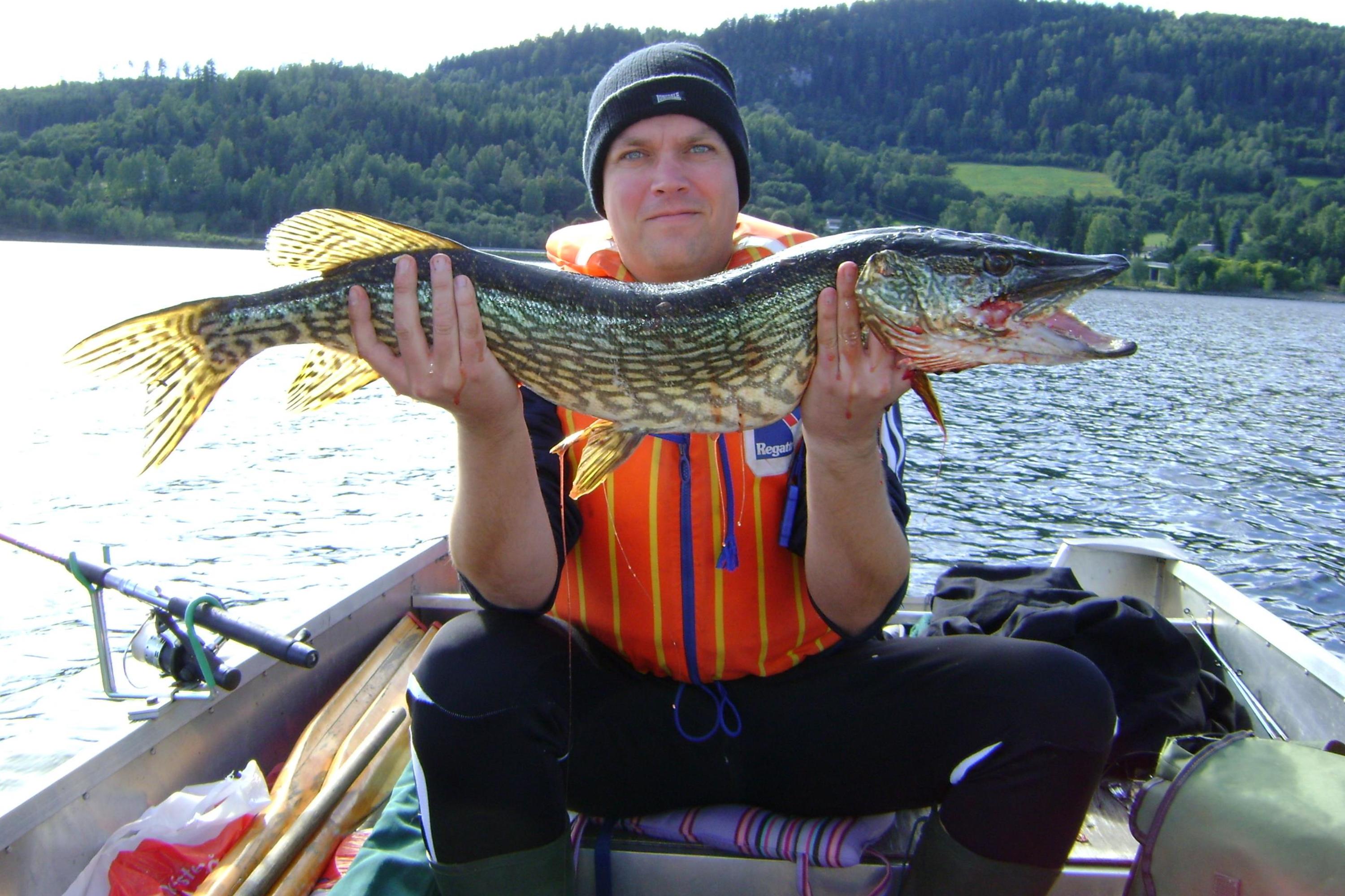 Fiske i Mjøsa - Norges største innsjø - Visit Øst-Norge
